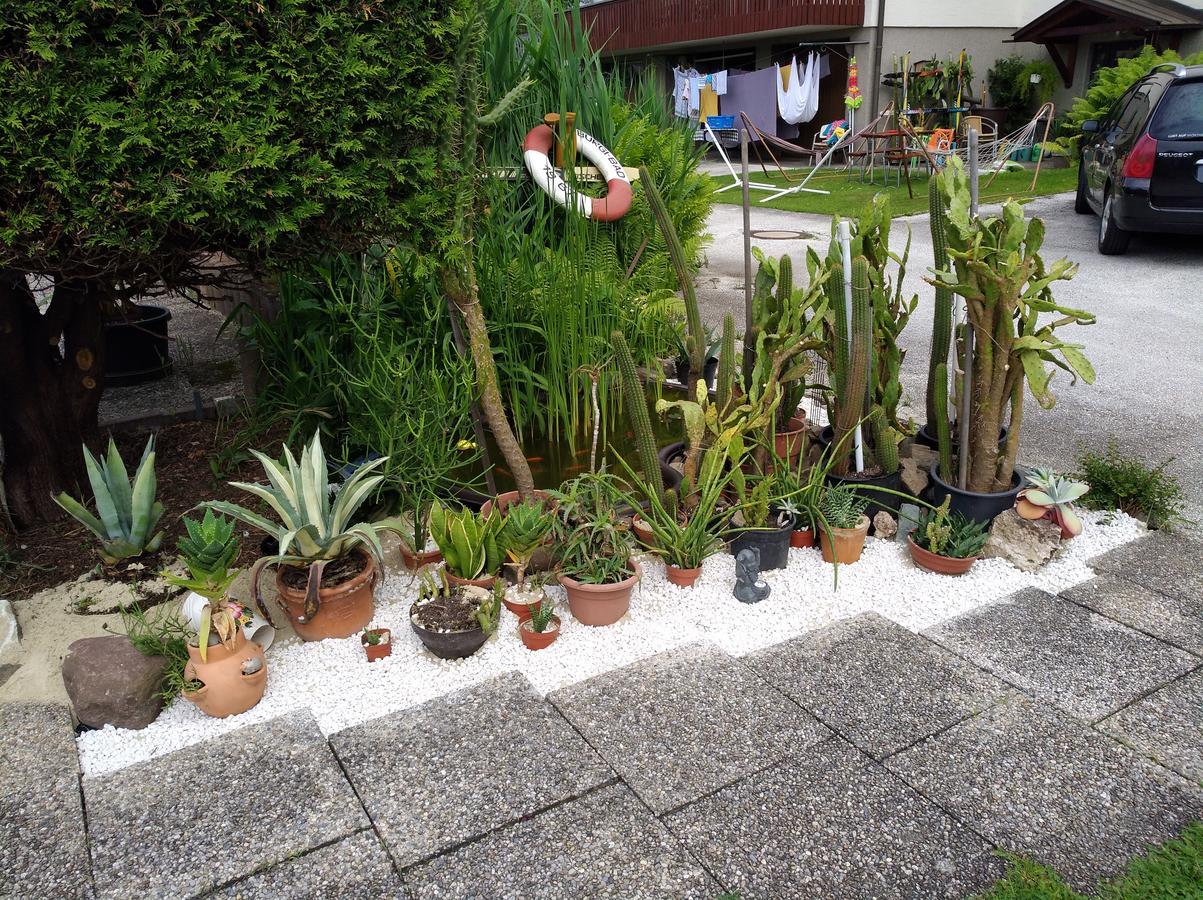 Haus Friedburg Apartment Velden am Woerthersee Exterior photo